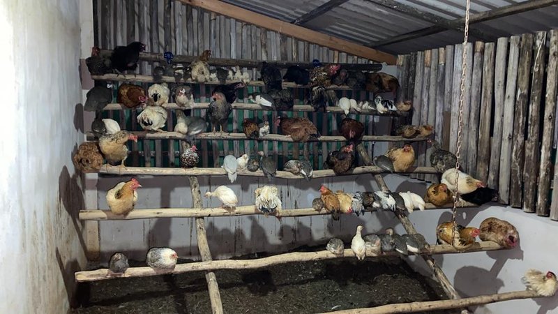 SÍTIO COM 9.6 HECTARES EM SÃO MIGUEL DO ARCANJO - SAO MIGUEL ARCANJO - 