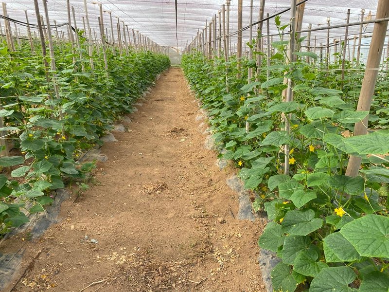 SÍTIO COM 9.6 HECTARES EM SÃO MIGUEL DO ARCANJO - SAO MIGUEL ARCANJO - 