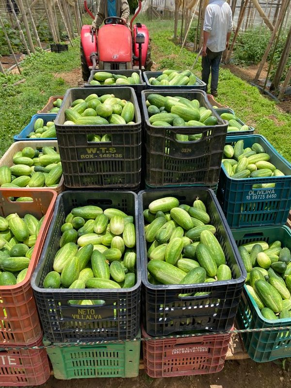SÍTIO COM 9.6 HECTARES EM SÃO MIGUEL DO ARCANJO - SAO MIGUEL ARCANJO - 
