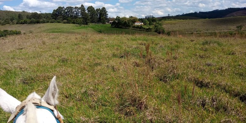 FAZENDA COM 260 HECTARES EM SERITINGA - SERITINGA - 