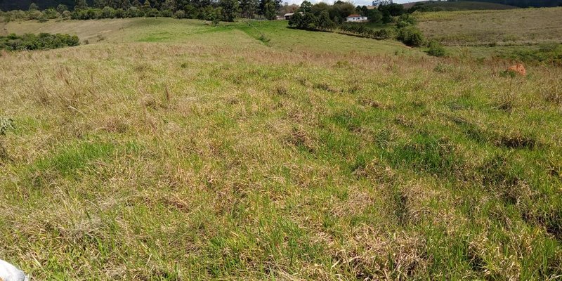 FAZENDA COM 260 HECTARES EM SERITINGA - SERITINGA - 