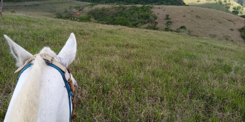 FAZENDA COM 260 HECTARES EM SERITINGA - SERITINGA - 