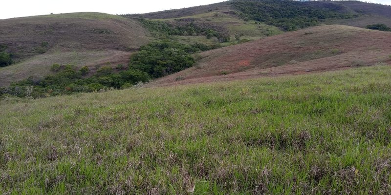 FAZENDA COM 260 HECTARES EM SERITINGA - SERITINGA - 