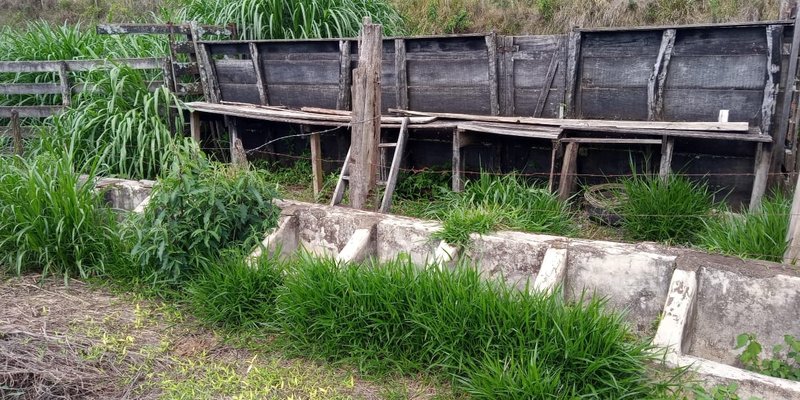 FAZENDA COM 260 HECTARES EM SERITINGA - SERITINGA - 