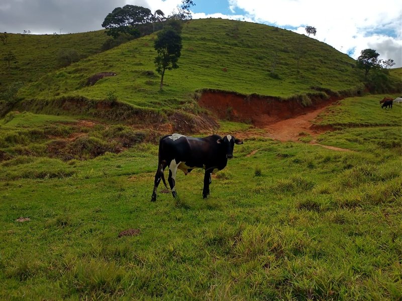 FAZENDA DE 101.6 HECTARES EM SÃO JOSÉ DOS CAMPOS - São José dos Campos - 