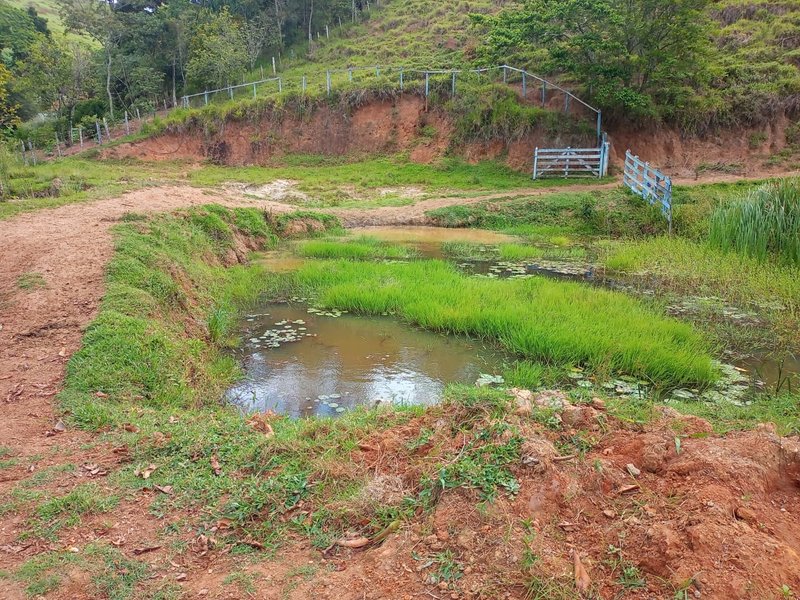 FAZENDA DE 101.6 HECTARES EM SÃO JOSÉ DOS CAMPOS - São José dos Campos - 