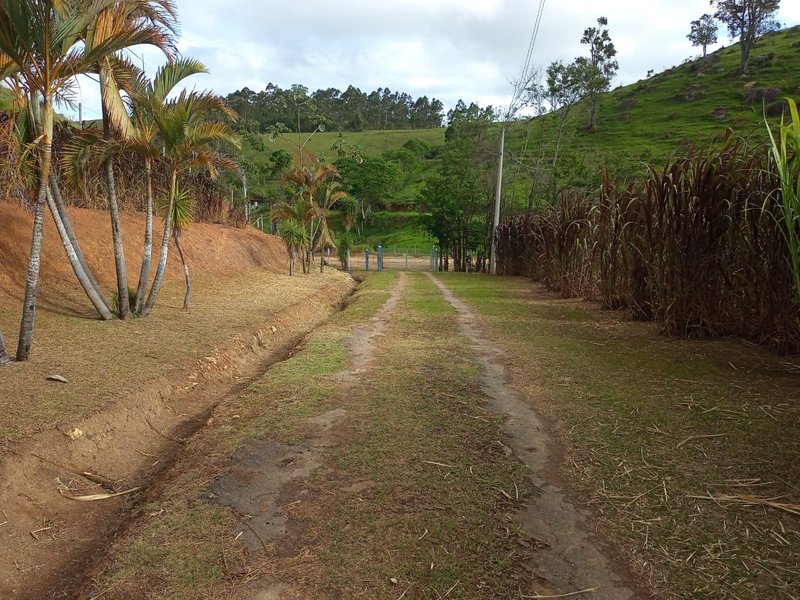 FAZENDA DE 101.6 HECTARES EM SÃO JOSÉ DOS CAMPOS - São José dos Campos - 