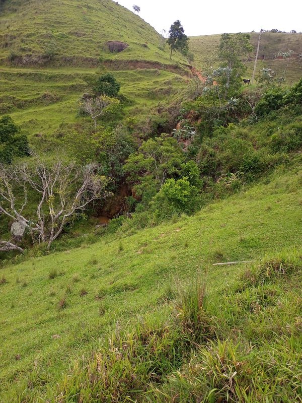 FAZENDA DE 101.6 HECTARES EM SÃO JOSÉ DOS CAMPOS - São José dos Campos - 
