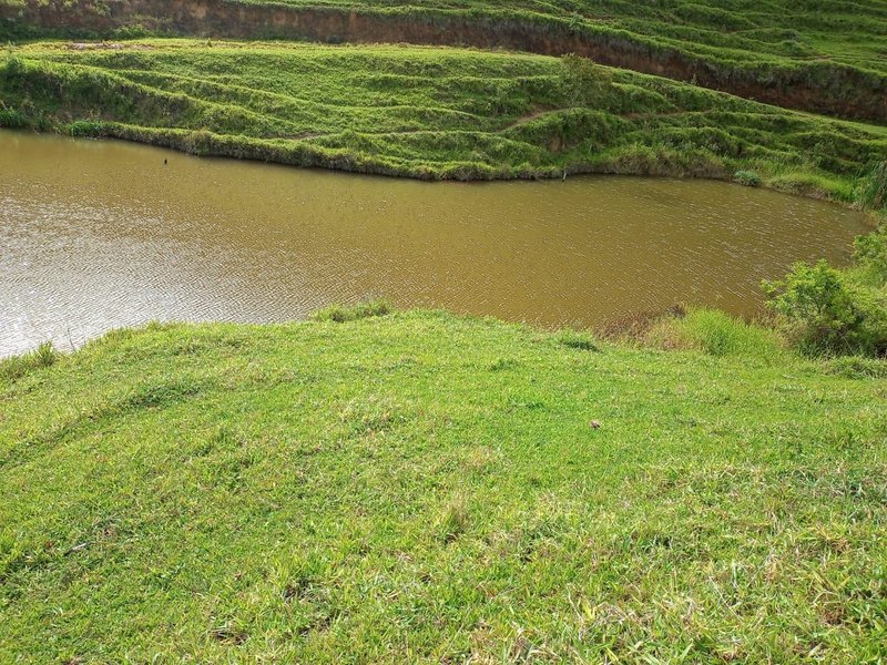 FAZENDA DE 101.6 HECTARES EM SÃO JOSÉ DOS CAMPOS - São José dos Campos - 