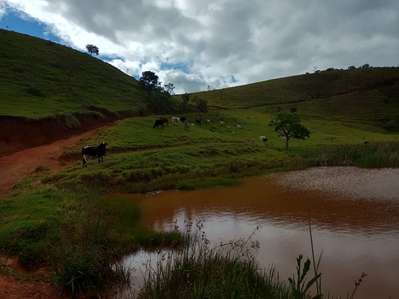 FAZENDA DE 101.6 HECTARES EM SÃO JOSÉ DOS CAMPOS - São José dos Campos - 