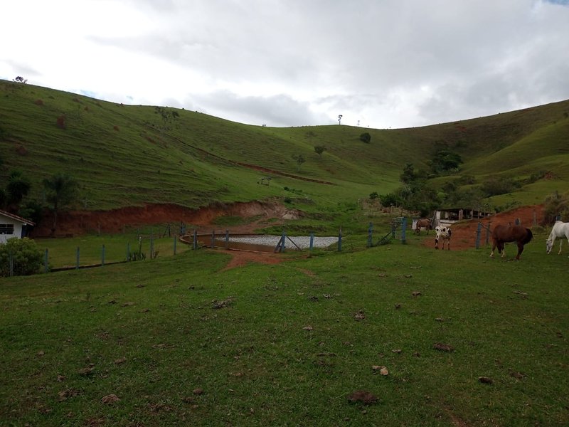 FAZENDA DE 101.6 HECTARES EM SÃO JOSÉ DOS CAMPOS - São José dos Campos - 