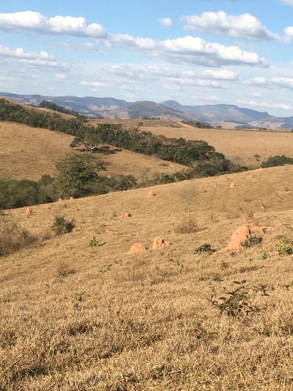 FAZENDA COM 206 HECTARES PRÓXIMO A CAXAMBU - CAXAMBU - 