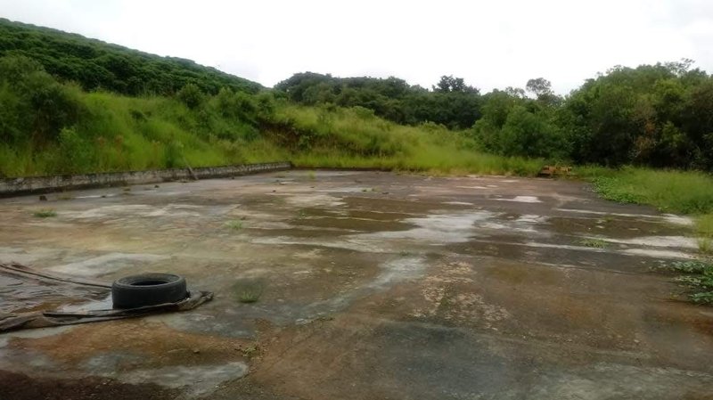 FAZENDA COM 206 HECTARES PRÓXIMO A CAXAMBU - CAXAMBU - 
