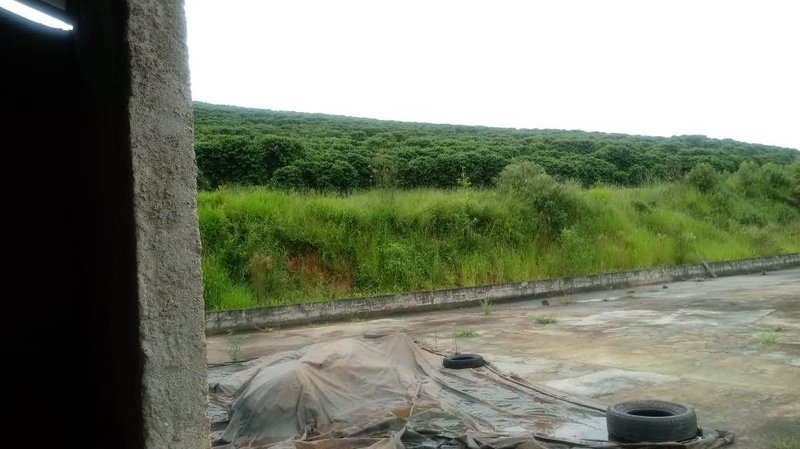 FAZENDA COM 206 HECTARES PRÓXIMO A CAXAMBU - CAXAMBU - 