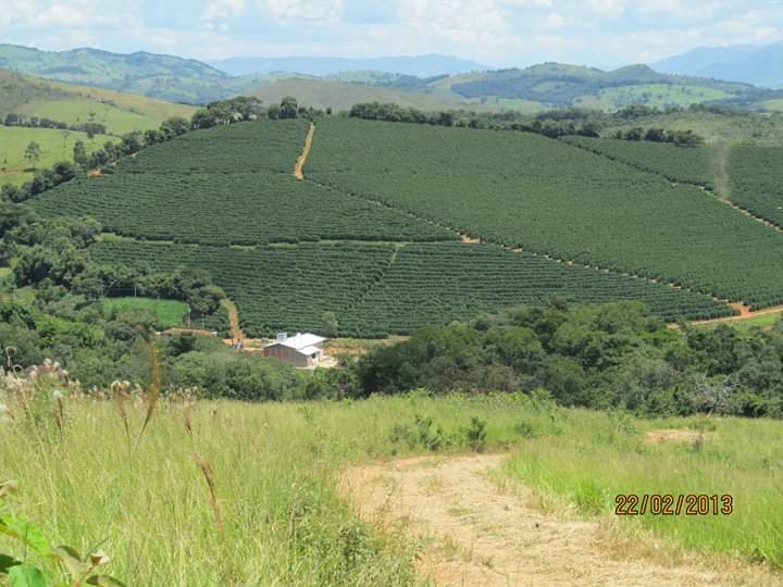 FAZENDA COM 206 HECTARES PRÓXIMO A CAXAMBU - CAXAMBU - 