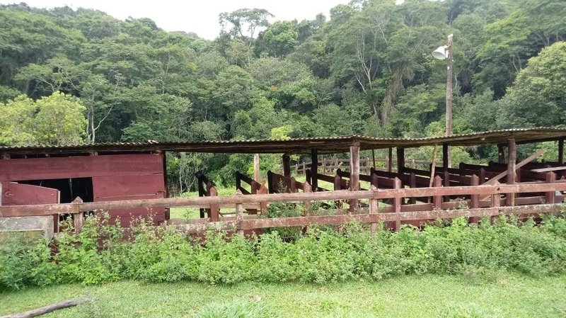 FAZENDA COM 206 HECTARES PRÓXIMO A CAXAMBU - CAXAMBU - 