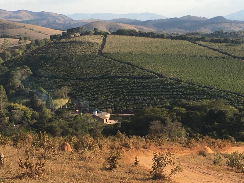 FAZENDA COM 206 HECTARES PRÓXIMO A CAXAMBU - CAXAMBU - 