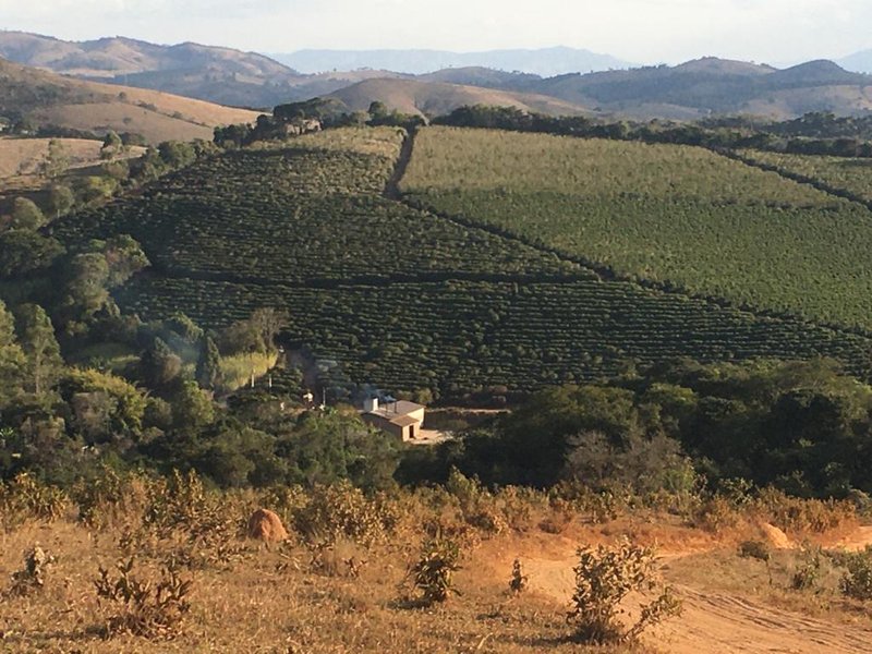 FAZENDA COM 206 HECTARES PRÓXIMO A CAXAMBU - CAXAMBU - 