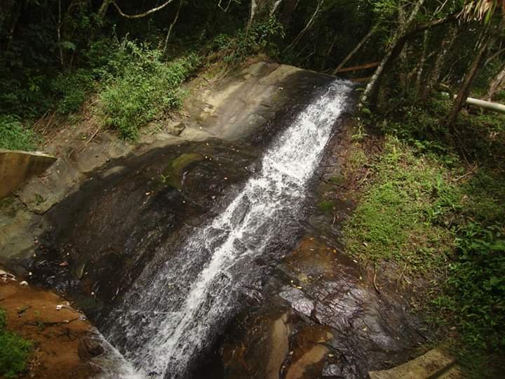 FAZENDA COM 206 HECTARES PRÓXIMO A CAXAMBU - CAXAMBU - 