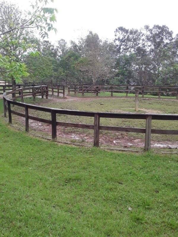 FAZENDA COM 214 HECTARES PROX A EURIOCA - CAXAMBU - 