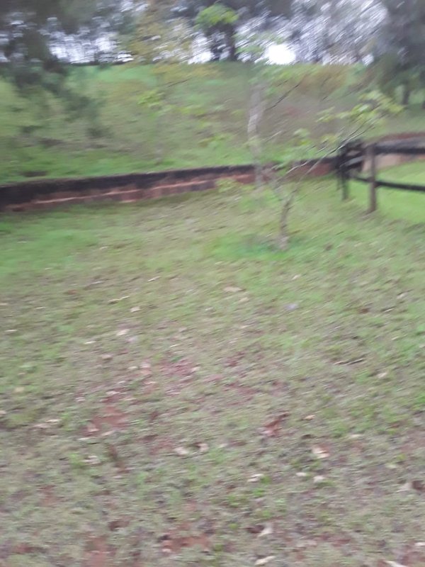 FAZENDA COM 214 HECTARES PROX A EURIOCA - CAXAMBU - 