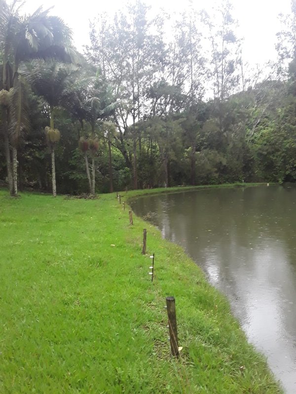 FAZENDA COM 214 HECTARES PROX A EURIOCA - CAXAMBU - 