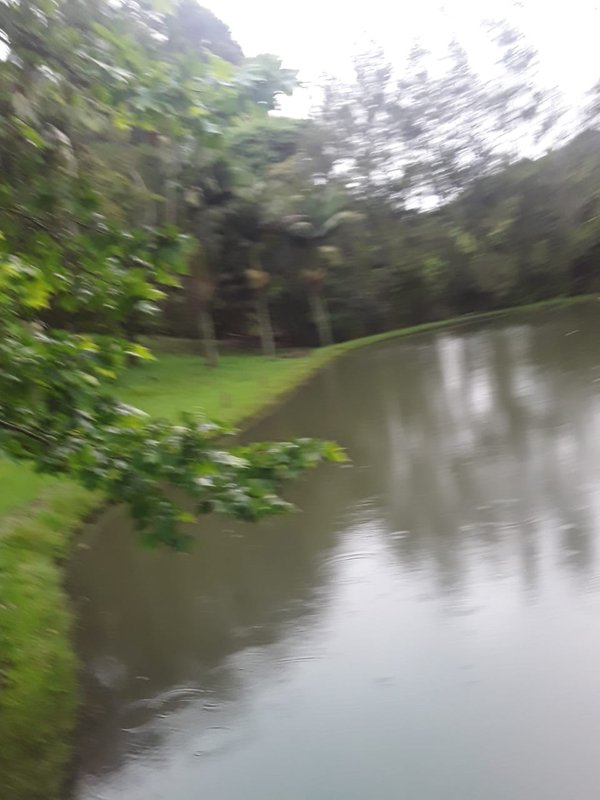 FAZENDA COM 214 HECTARES PROX A EURIOCA - CAXAMBU - 