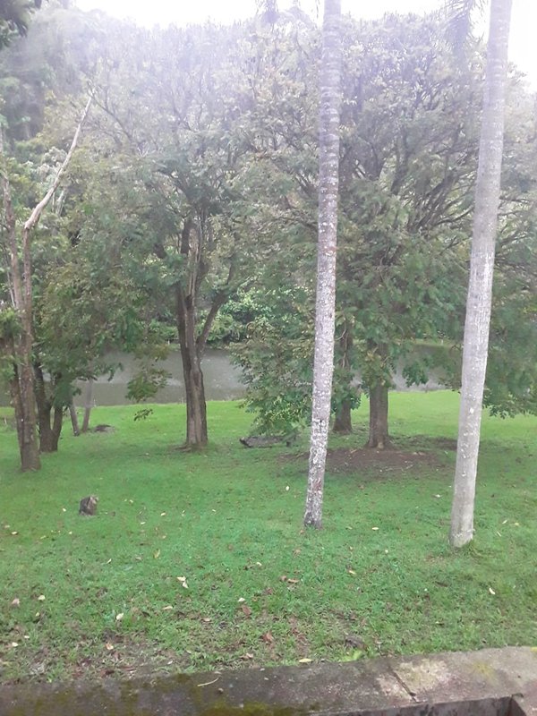 FAZENDA COM 214 HECTARES PROX A EURIOCA - CAXAMBU - 