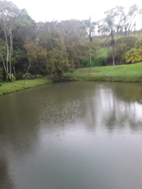 FAZENDA COM 214 HECTARES PROX A EURIOCA - CAXAMBU - 