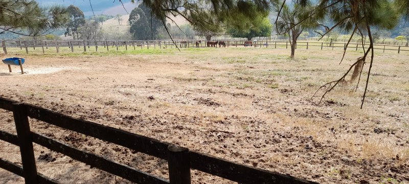 FAZENDA COM 214 HECTARES PROX A EURIOCA - CAXAMBU - 