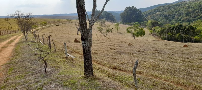 FAZENDA COM 214 HECTARES PROX A EURIOCA - CAXAMBU - 