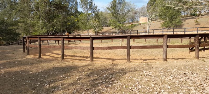 FAZENDA COM 214 HECTARES PROX A EURIOCA - CAXAMBU - 