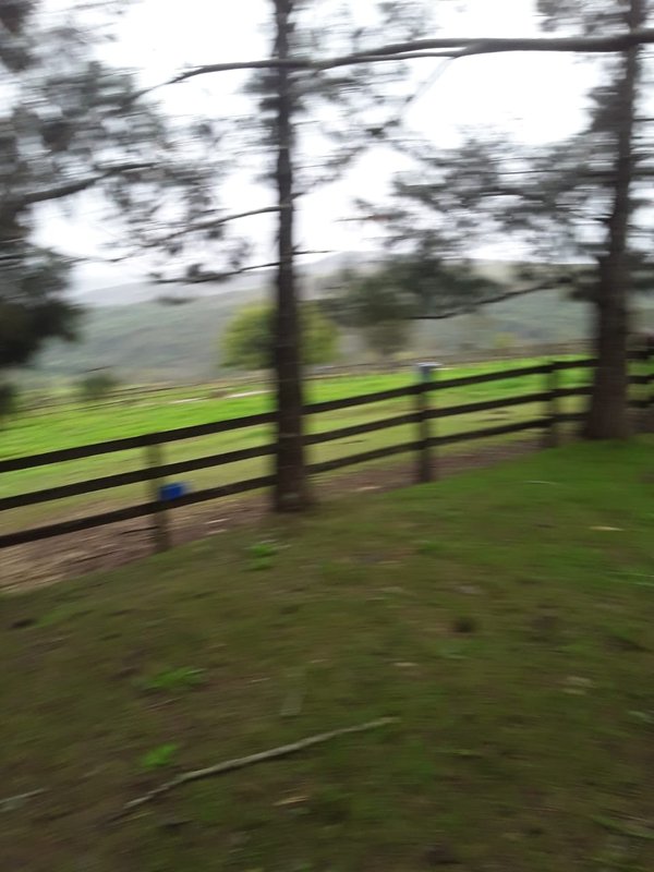 FAZENDA COM 214 HECTARES PROX A EURIOCA - CAXAMBU - 
