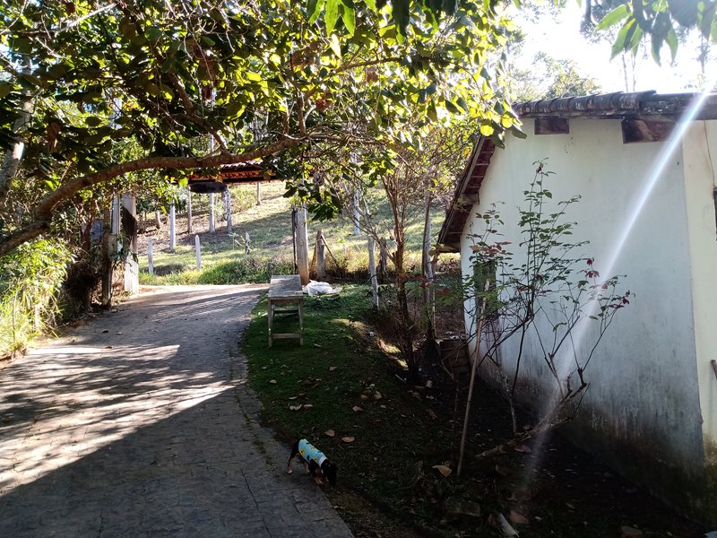 SITIO 3  HECTARES EM MONTEIRO LABATO - MONTEIRO LOBATO - 