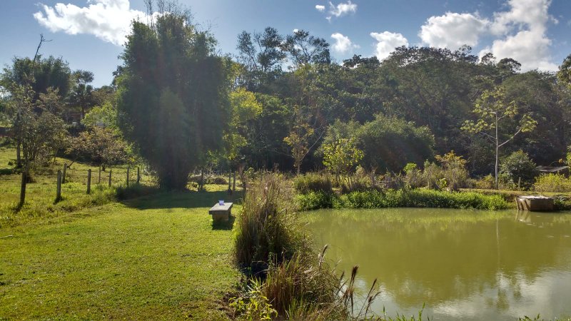 SITIO 3  HECTARES EM MONTEIRO LABATO - MONTEIRO LOBATO - 
