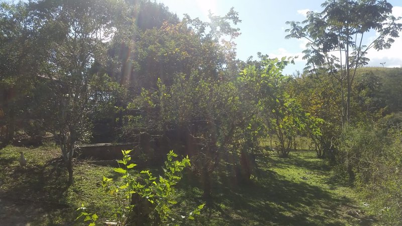 SITIO 3  HECTARES EM MONTEIRO LABATO - MONTEIRO LOBATO - 