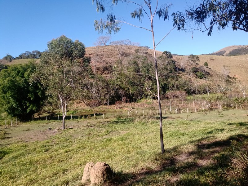 SITIO 3  HECTARES EM MONTEIRO LABATO - MONTEIRO LOBATO - 