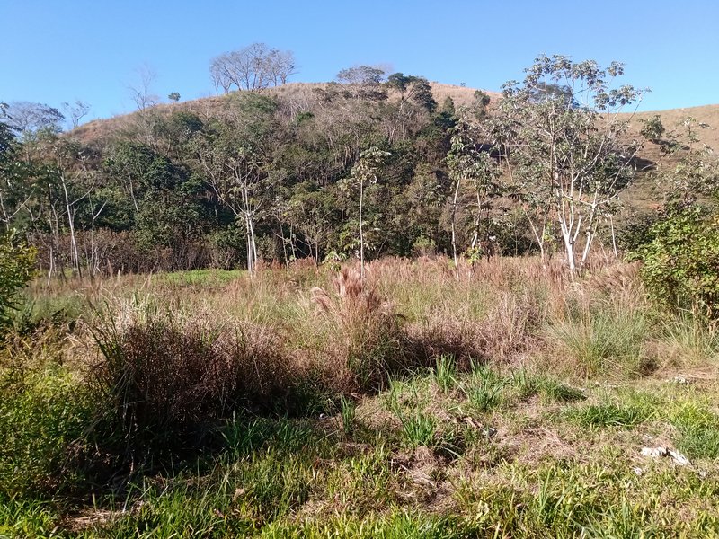 SITIO 3  HECTARES EM MONTEIRO LABATO - MONTEIRO LOBATO - 