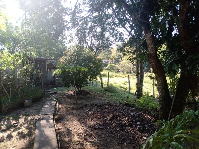 SITIO 3  HECTARES EM MONTEIRO LABATO - MONTEIRO LOBATO - 