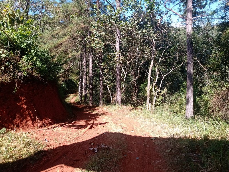 SÍTIO 8.2 HECTARES EM SÃO JOSÉ DOS CAMPOS - São José dos Campos - 