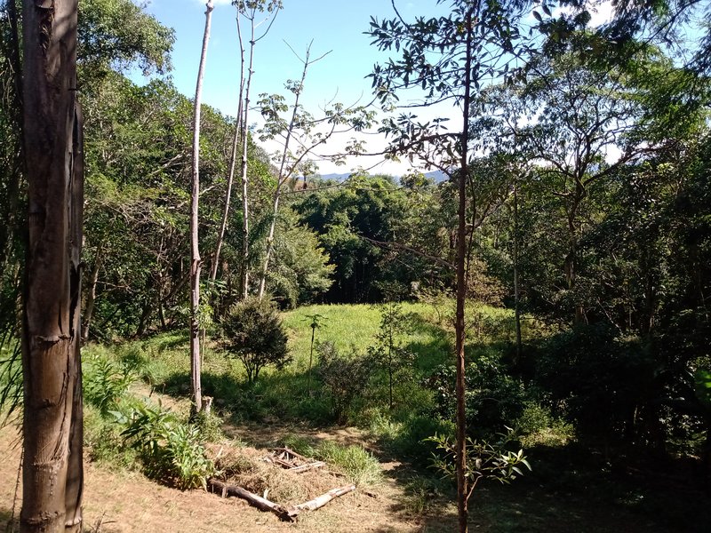 SÍTIO 8.2 HECTARES EM SÃO JOSÉ DOS CAMPOS - São José dos Campos - 