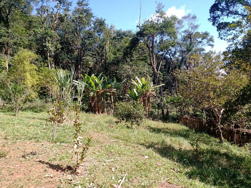 SÍTIO 8.2 HECTARES EM SÃO JOSÉ DOS CAMPOS - São José dos Campos - 