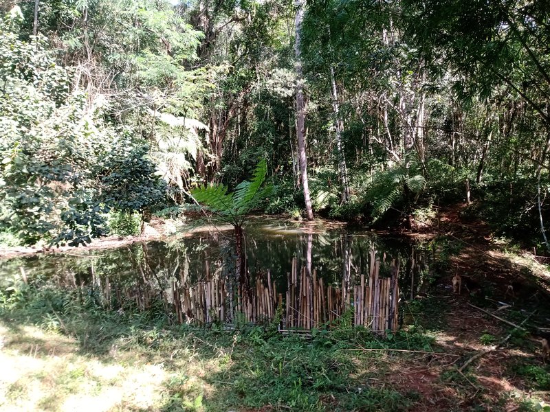 SÍTIO 8.2 HECTARES EM SÃO JOSÉ DOS CAMPOS - São José dos Campos - 