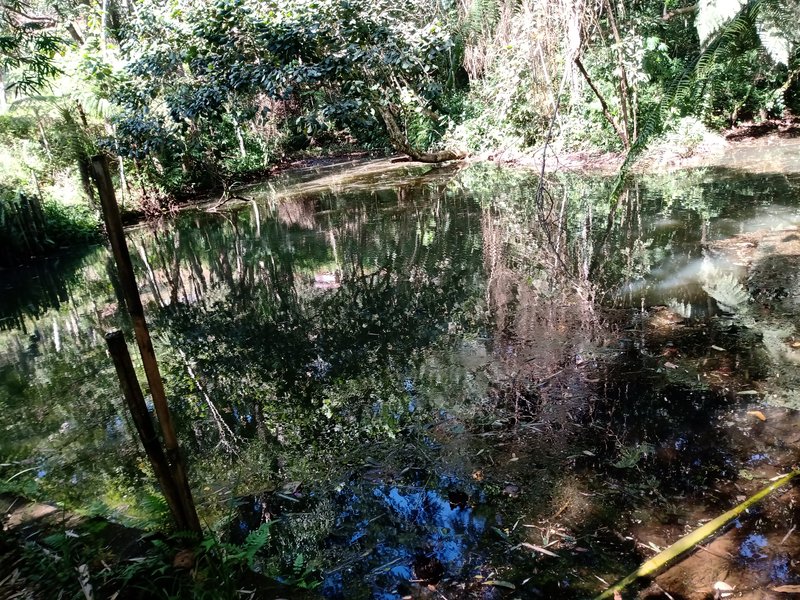 SÍTIO 8.2 HECTARES EM SÃO JOSÉ DOS CAMPOS - São José dos Campos - 
