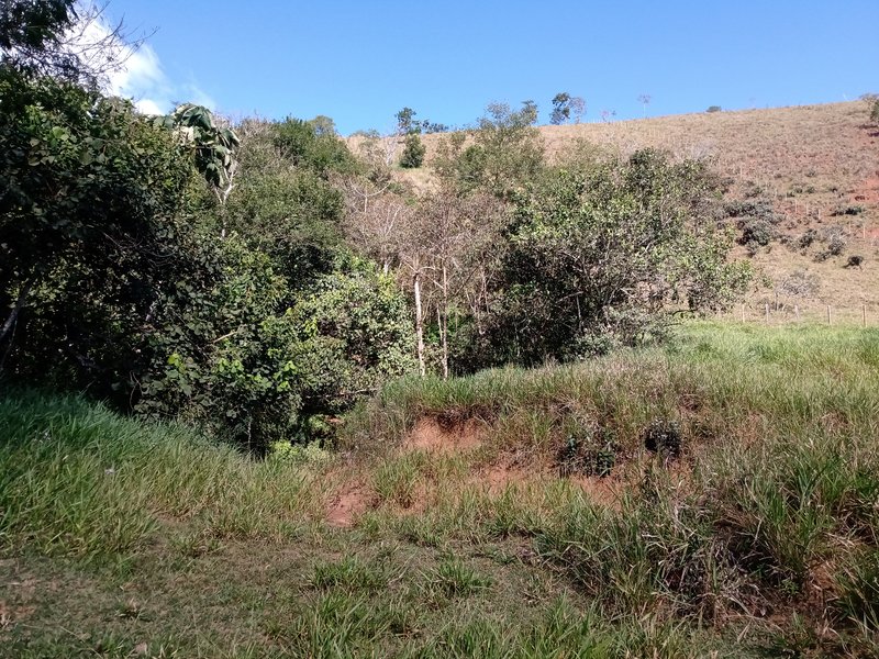 SÍTIO 8.2 HECTARES EM SÃO JOSÉ DOS CAMPOS - São José dos Campos - 