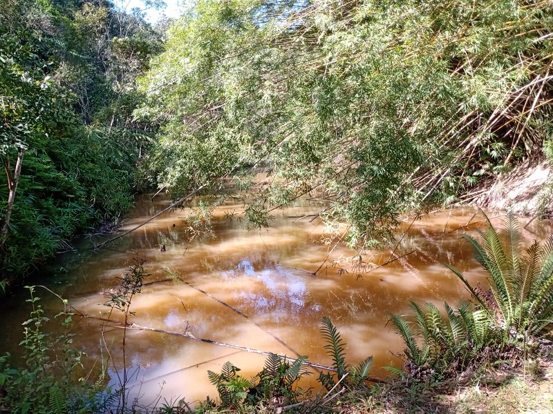 SÍTIO 8.2 HECTARES EM SÃO JOSÉ DOS CAMPOS - São José dos Campos - 