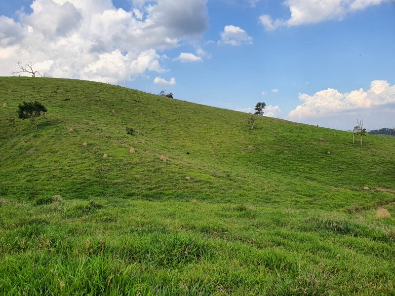 ÁREA RURAL COM 3 ALQUEIRES EM SÃO JOSÉ DOS CAMPOS - São José dos Campos - 