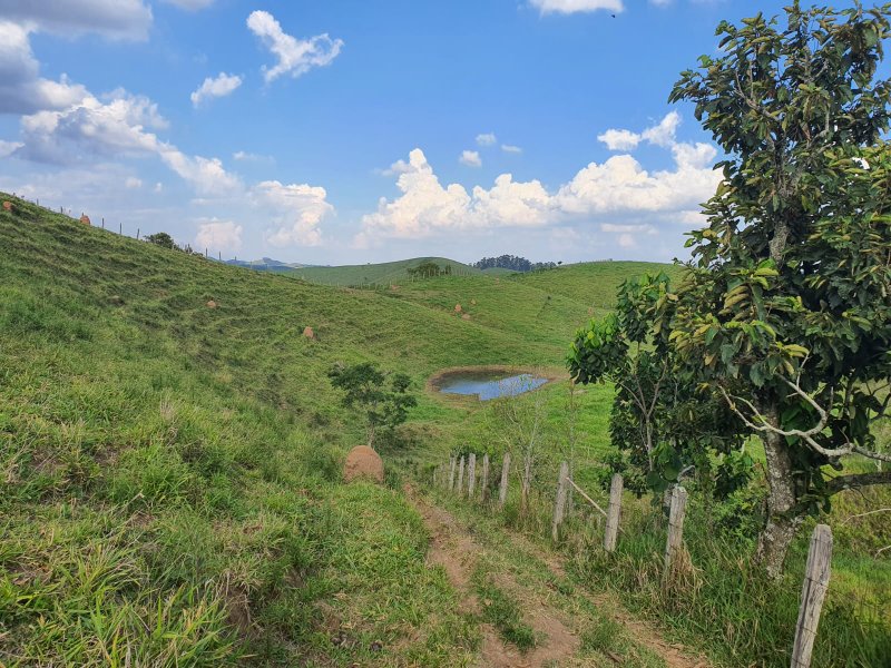 ÁREA RURAL COM 3 ALQUEIRES EM SÃO JOSÉ DOS CAMPOS - São José dos Campos - 