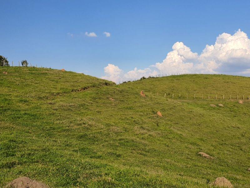 ÁREA RURAL COM 3 ALQUEIRES EM SÃO JOSÉ DOS CAMPOS - São José dos Campos - 