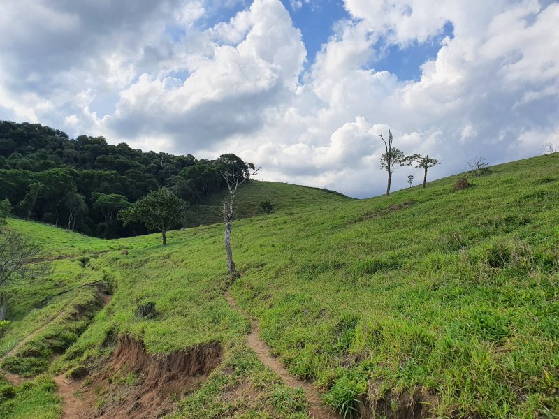ÁREA RURAL COM 3 ALQUEIRES EM SÃO JOSÉ DOS CAMPOS - São José dos Campos - 